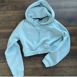 ALPHALETE Cropped hoodie in size Small